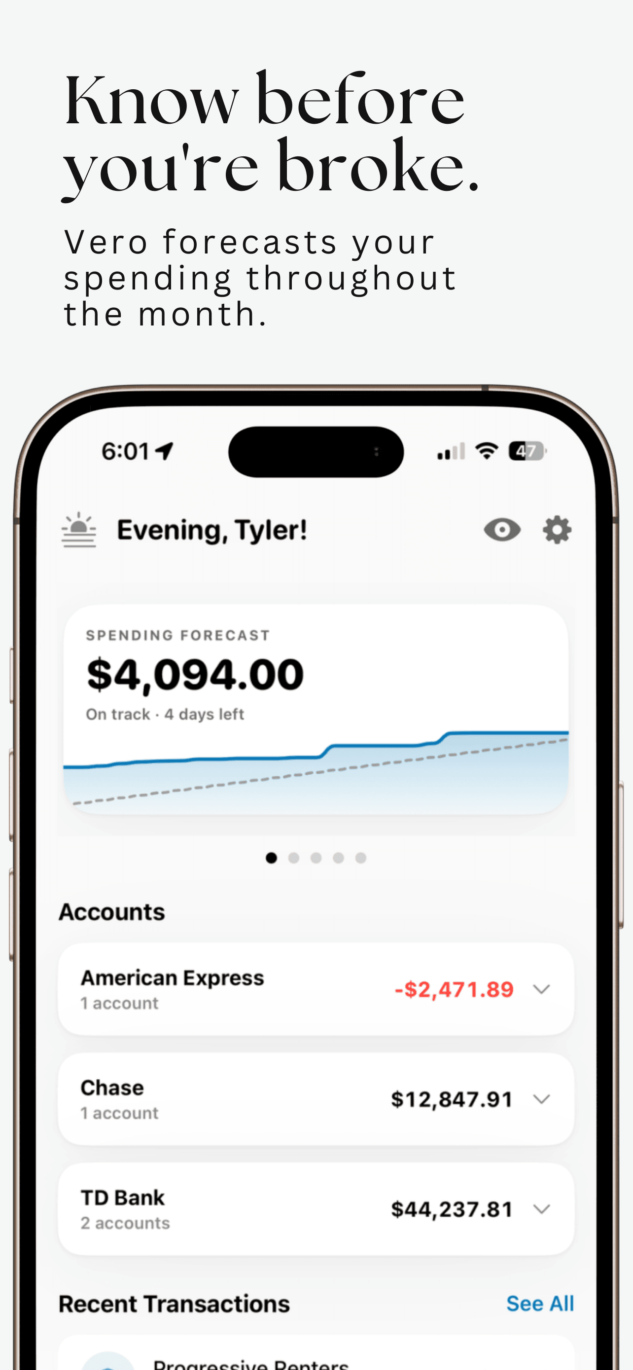 Ask Vero screenshot 3