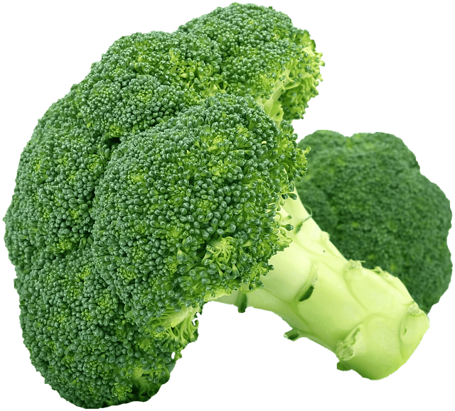 GreenBroccoli.eu screenshot 3