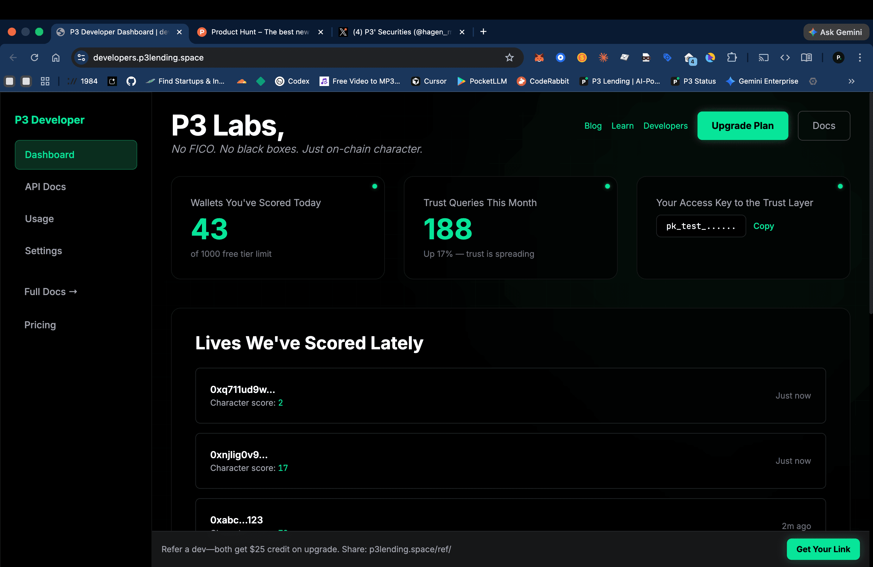 P3 Developer Dashboard screenshot 11