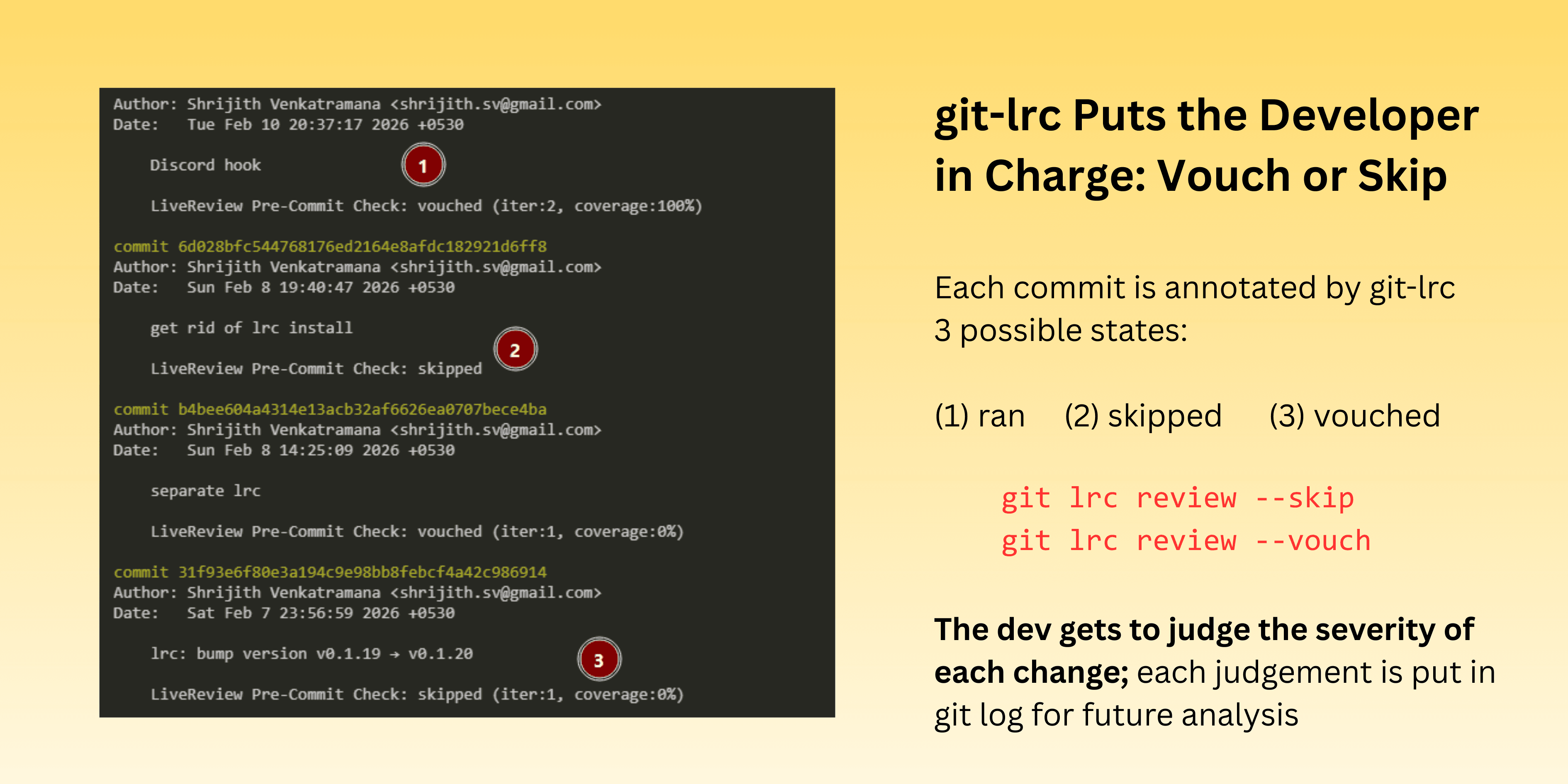 git-lrc screenshot 6