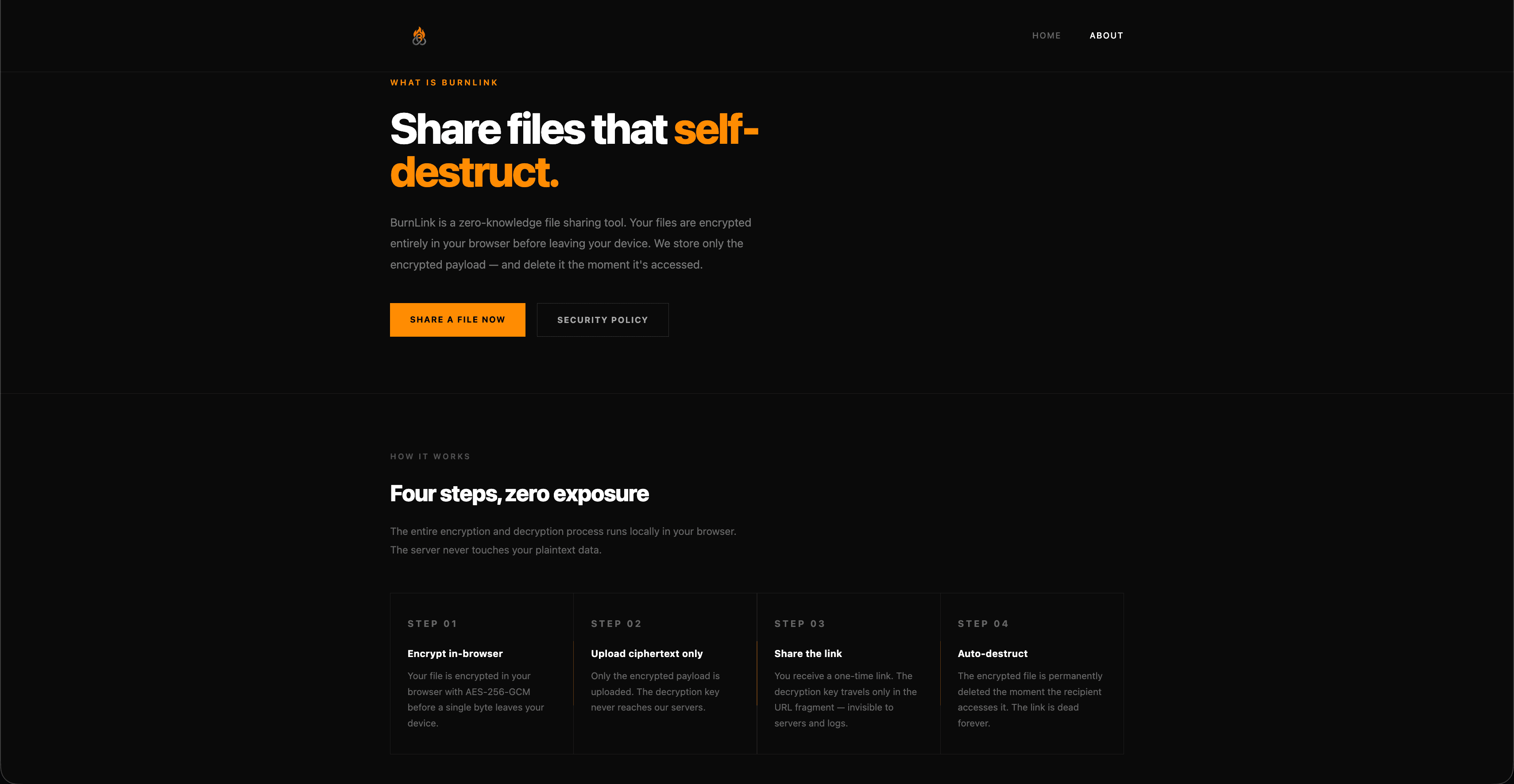 BurnLink screenshot 3