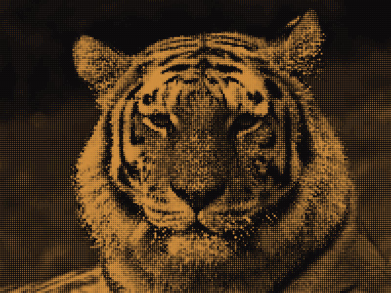 ASCIIfy screenshot 5