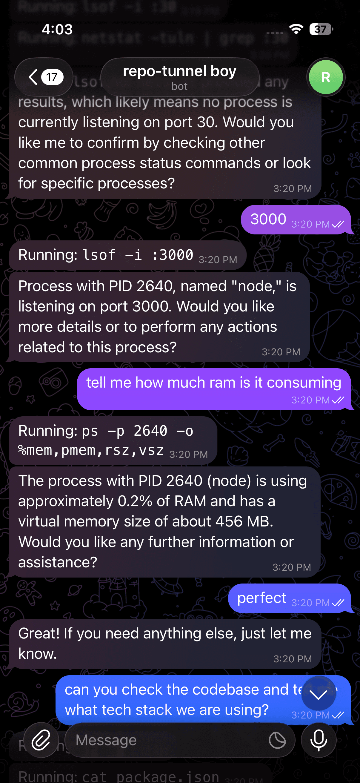 remote-terminal screenshot 2