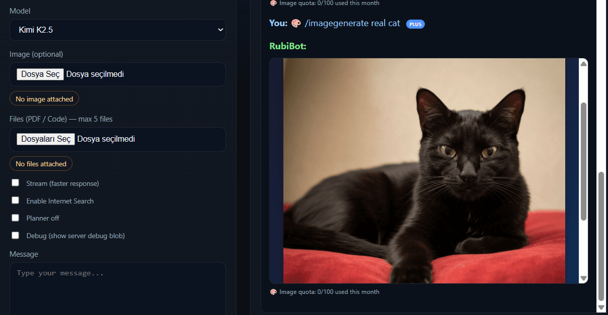 Rubibot & Human like Proto AGI screenshot 1