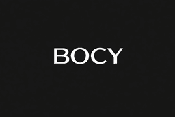 BOCY — AI financial decision assistant