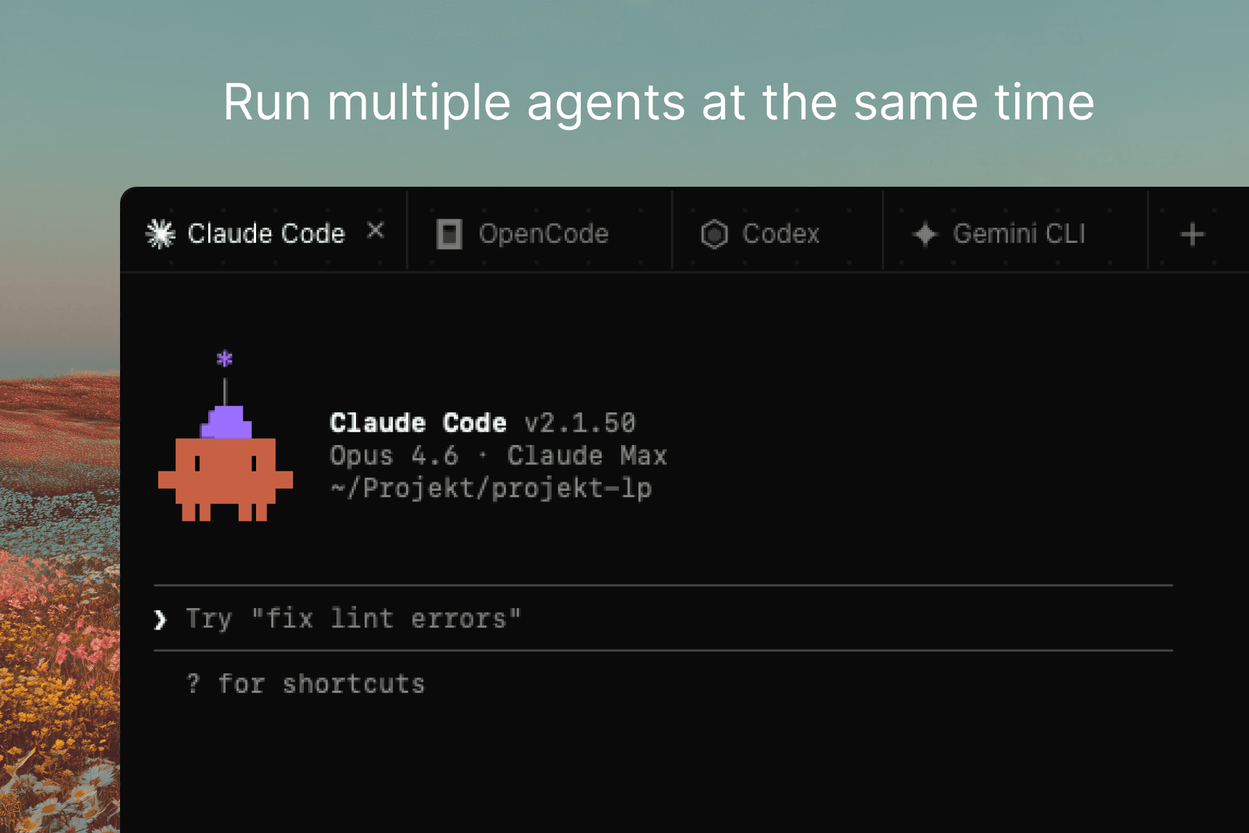 Projekt screenshot 2