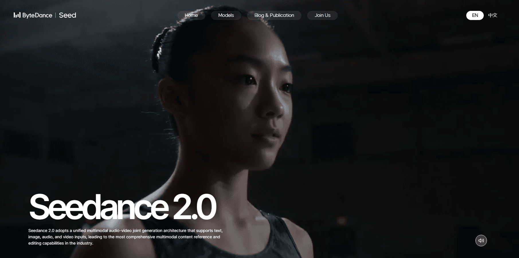 Seedance 2.0 screenshot 5