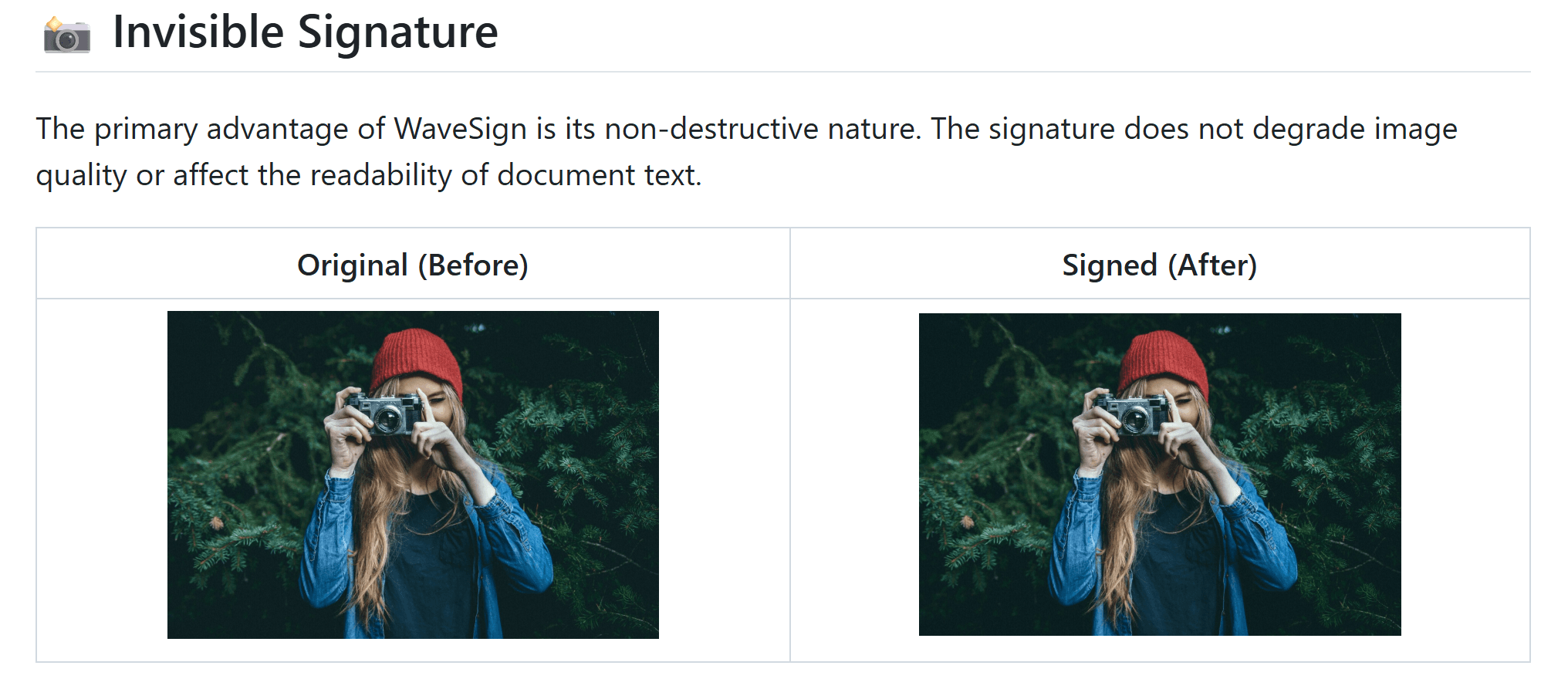 WaveSign screenshot 1