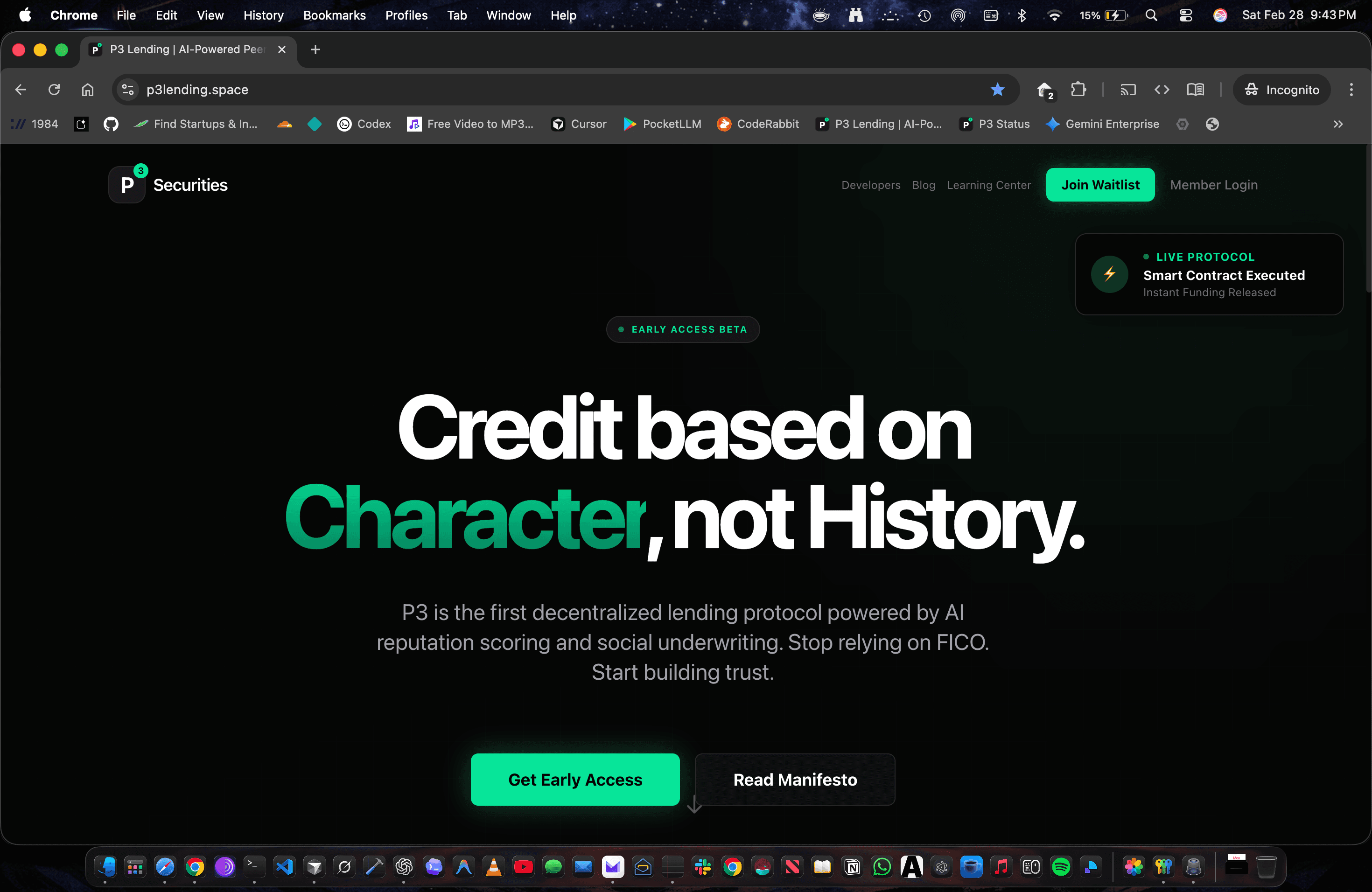 P3 Developer Dashboard screenshot 1