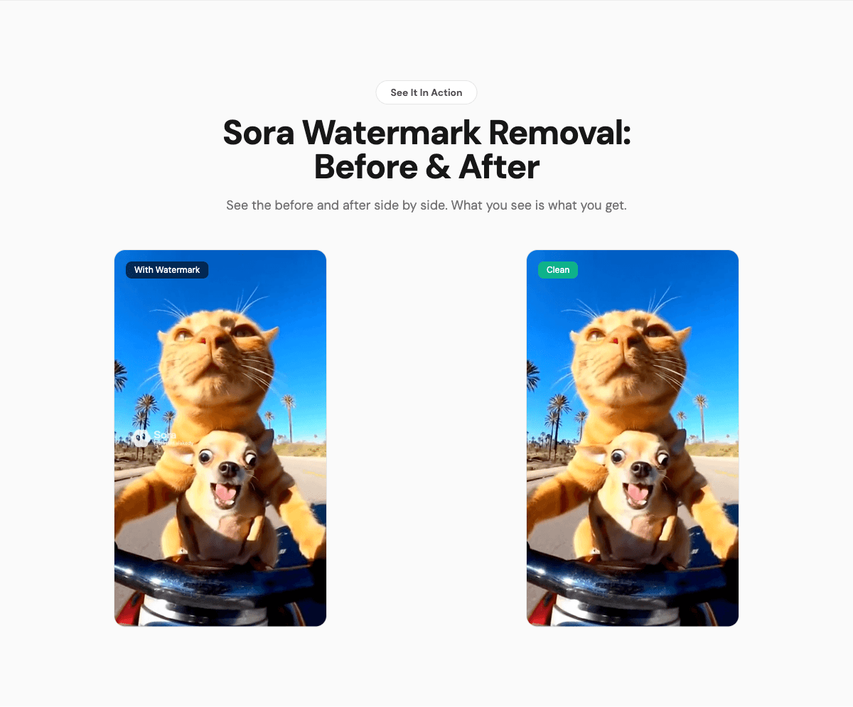 Sora Watermark Remover screenshot 2