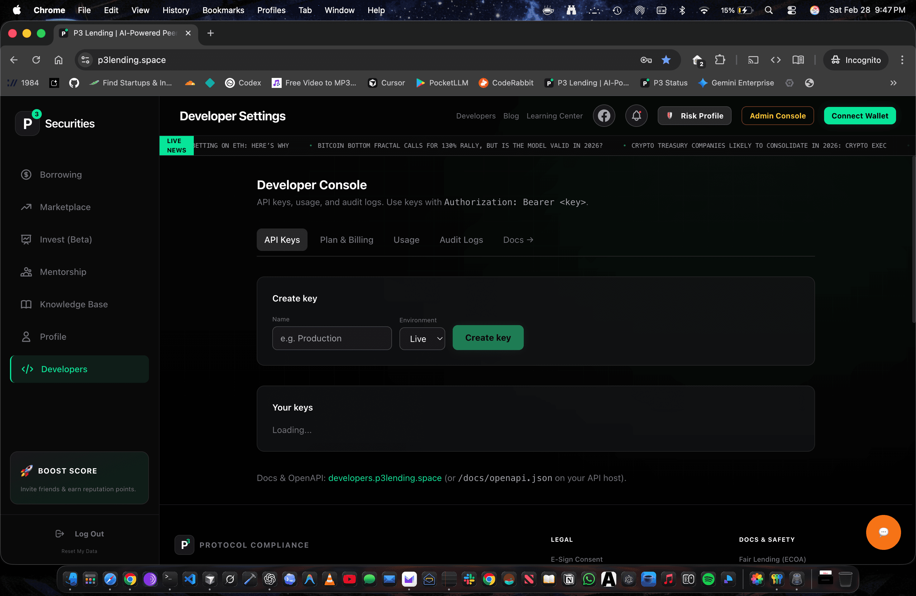 P3 Developer Dashboard screenshot 9