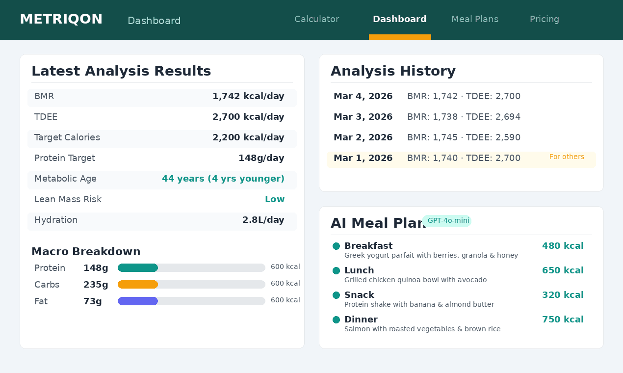 Metriqon screenshot 3