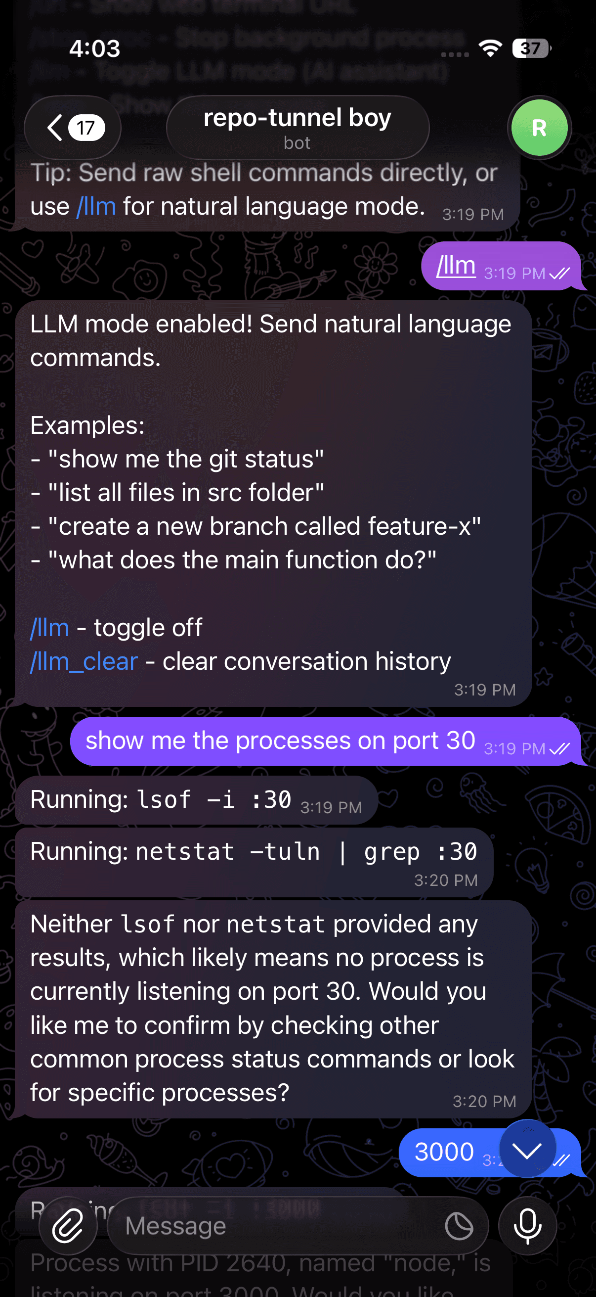 remote-terminal screenshot 3