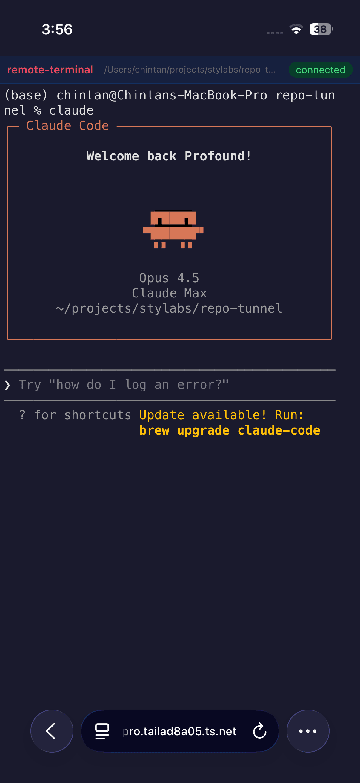 remote-terminal screenshot 1