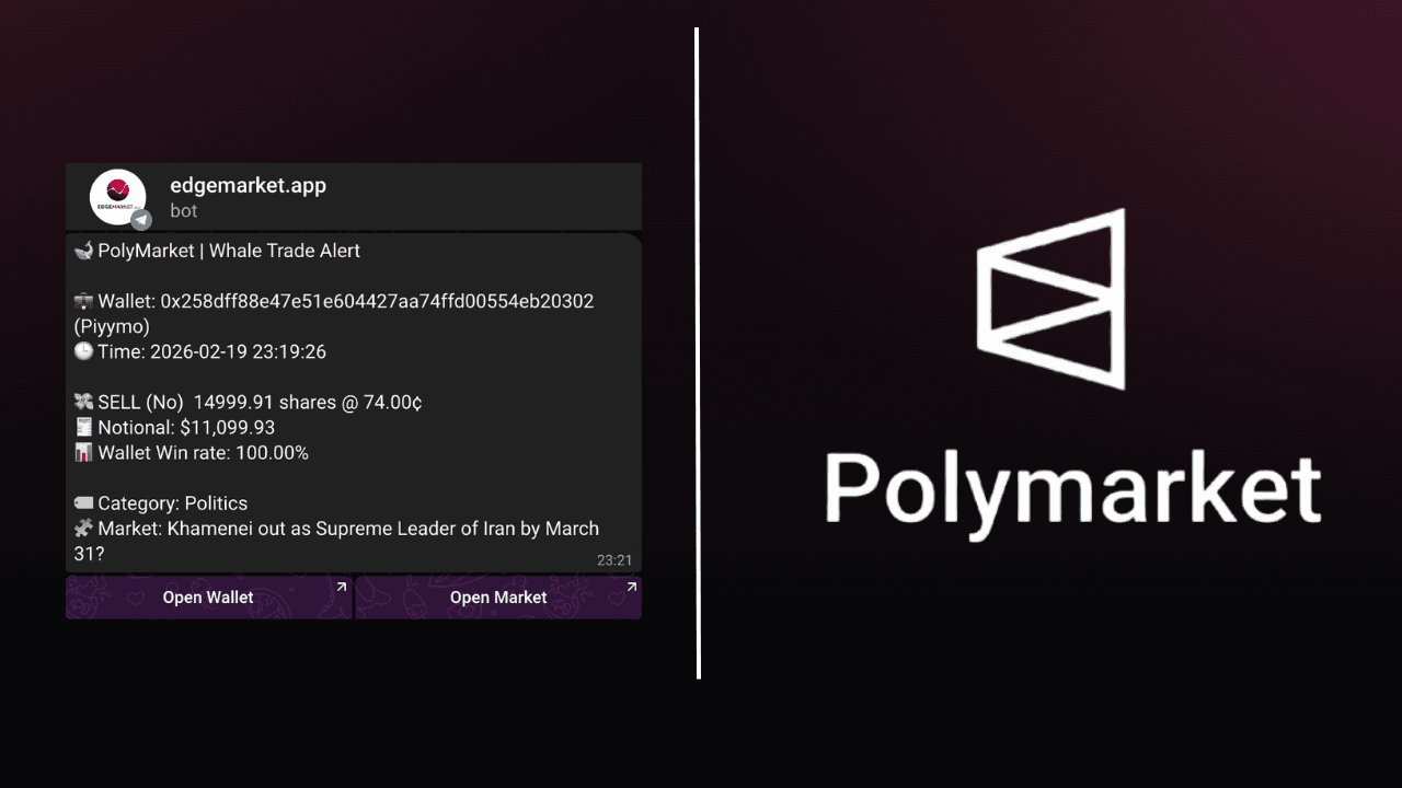 Track wallets and whales on Polymarket screenshot 1