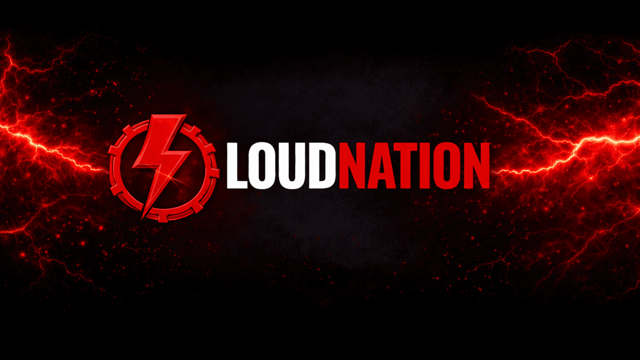 LoudNation screenshot 2