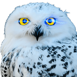 OwlAI Email Companion