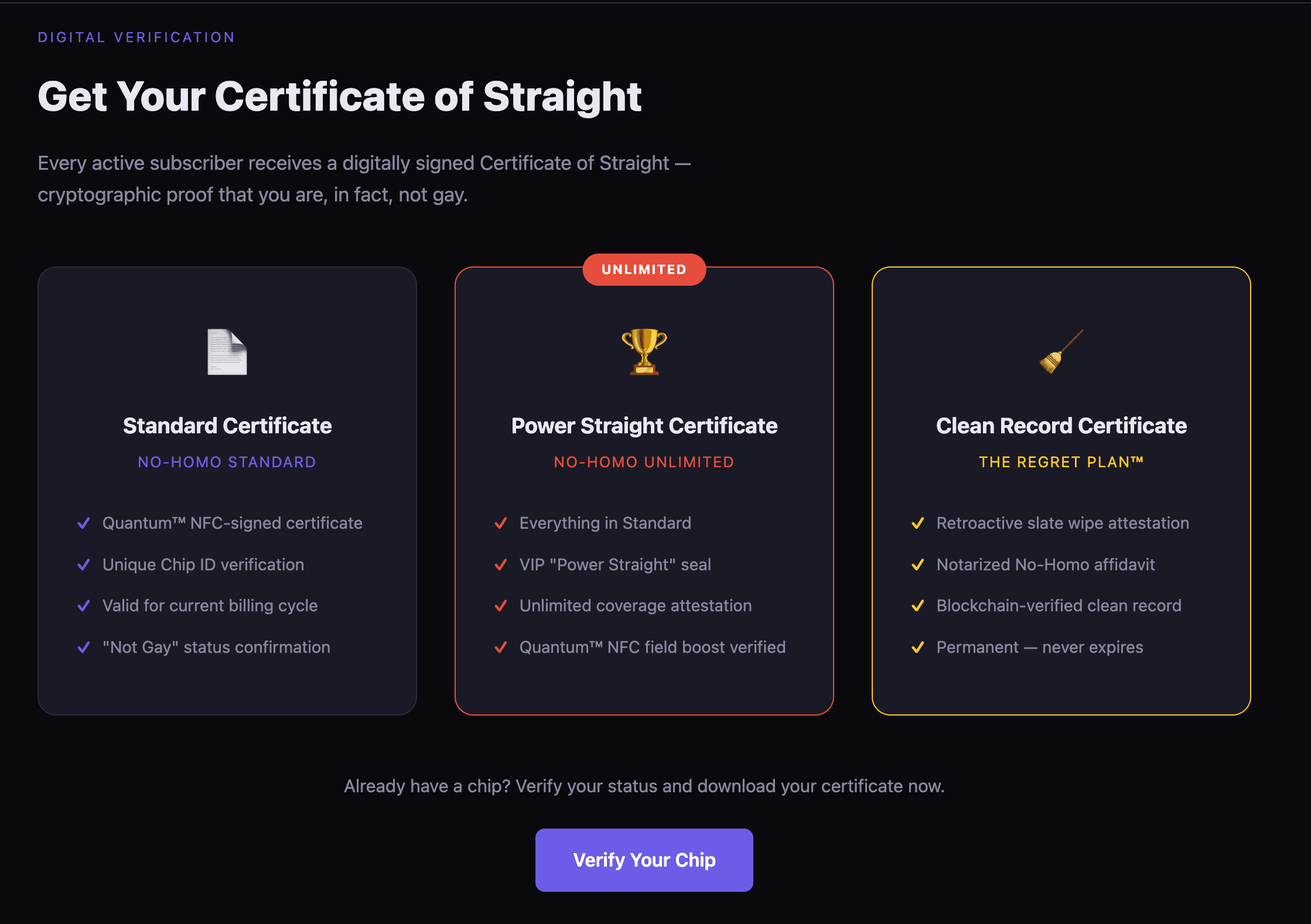 No-Homo Forever screenshot 2