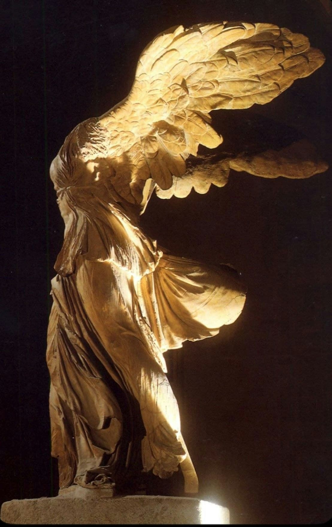 Philologus screenshot 2