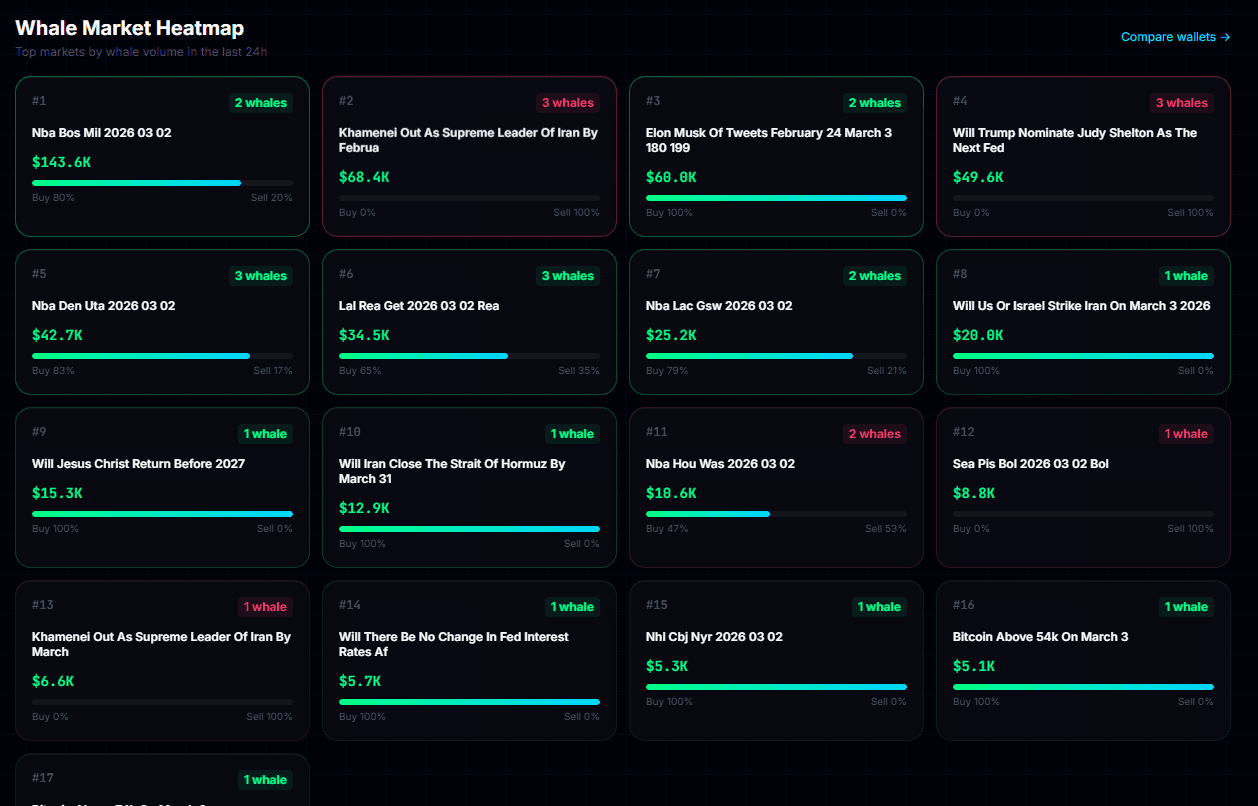 Polymarket Whale Tracker screenshot 5