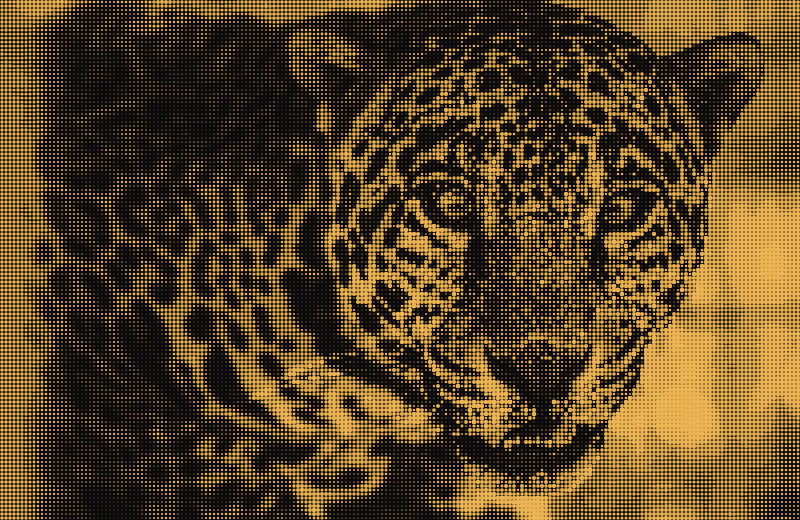 ASCIIfy screenshot 3