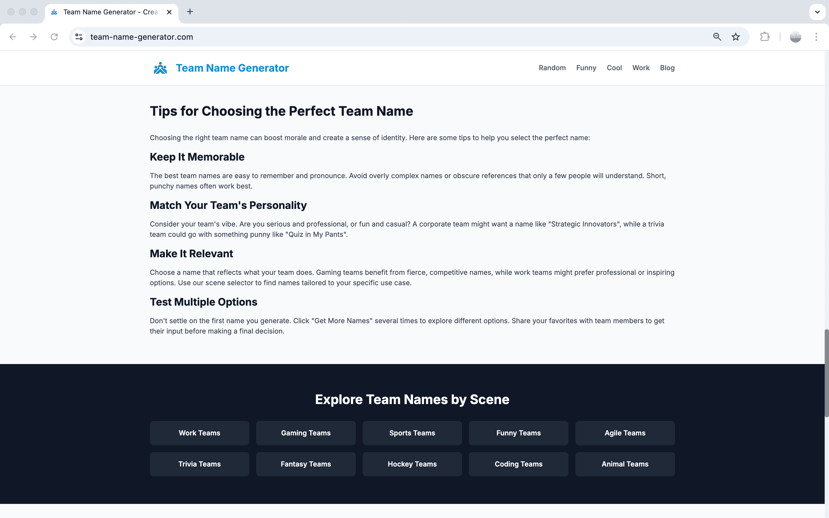 Team Name Generator screenshot 2