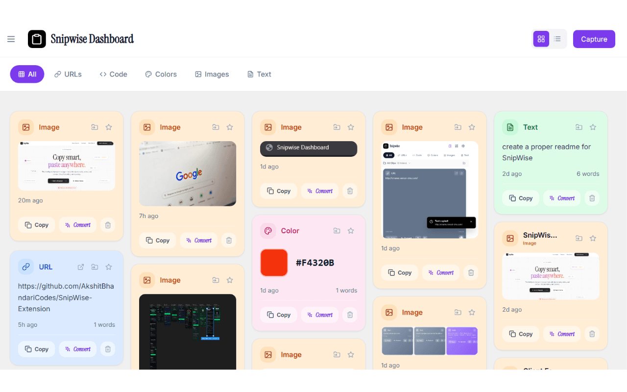 SnipWise screenshot 2