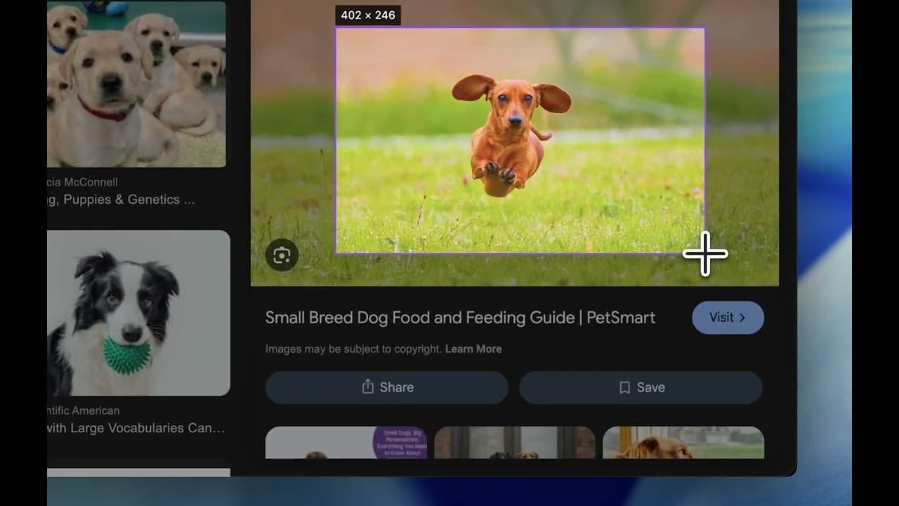 Snip - AI-powered macOS Screenshot Tool screenshot 1