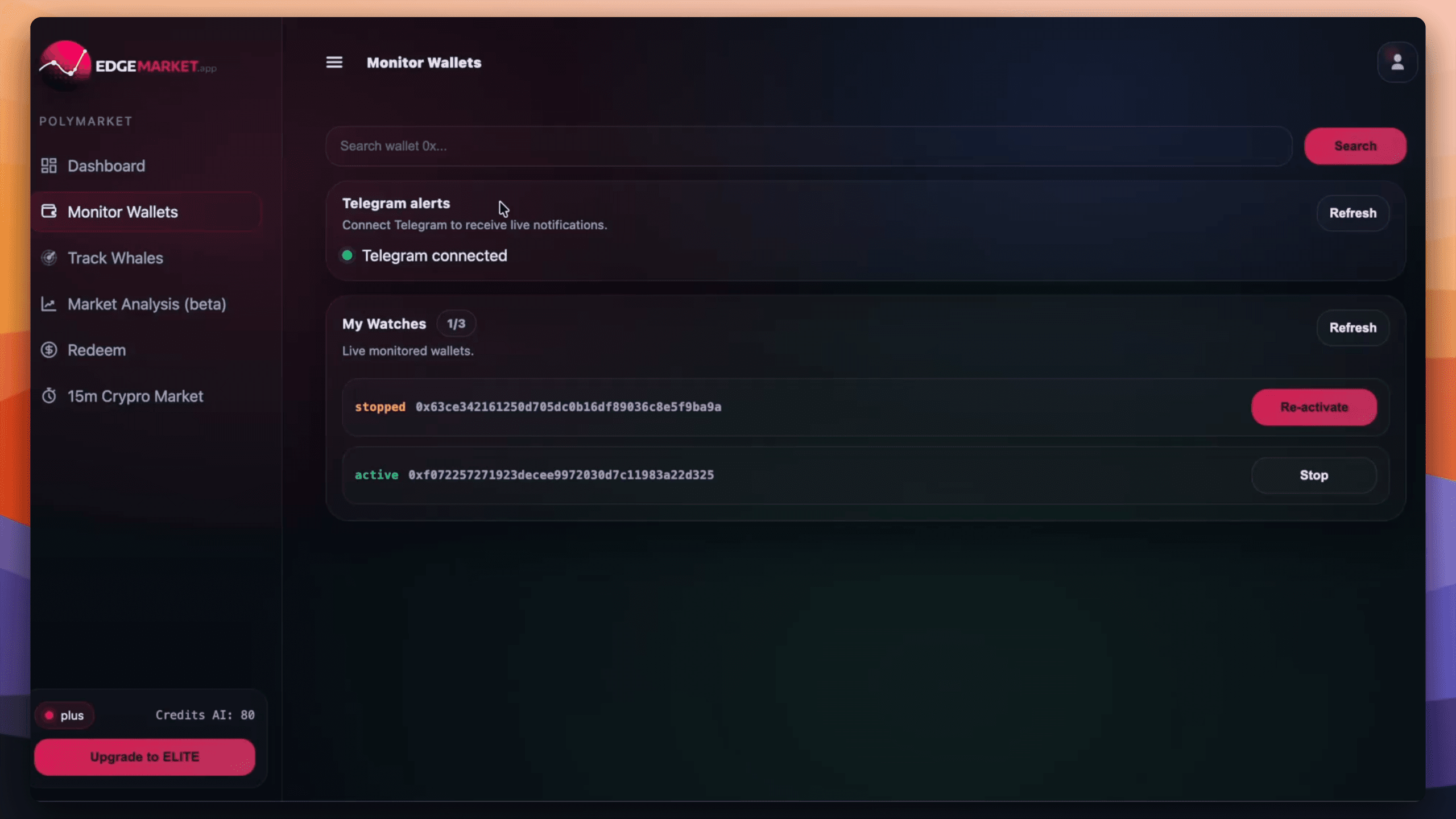 Track wallets and whales on Polymarket screenshot 2
