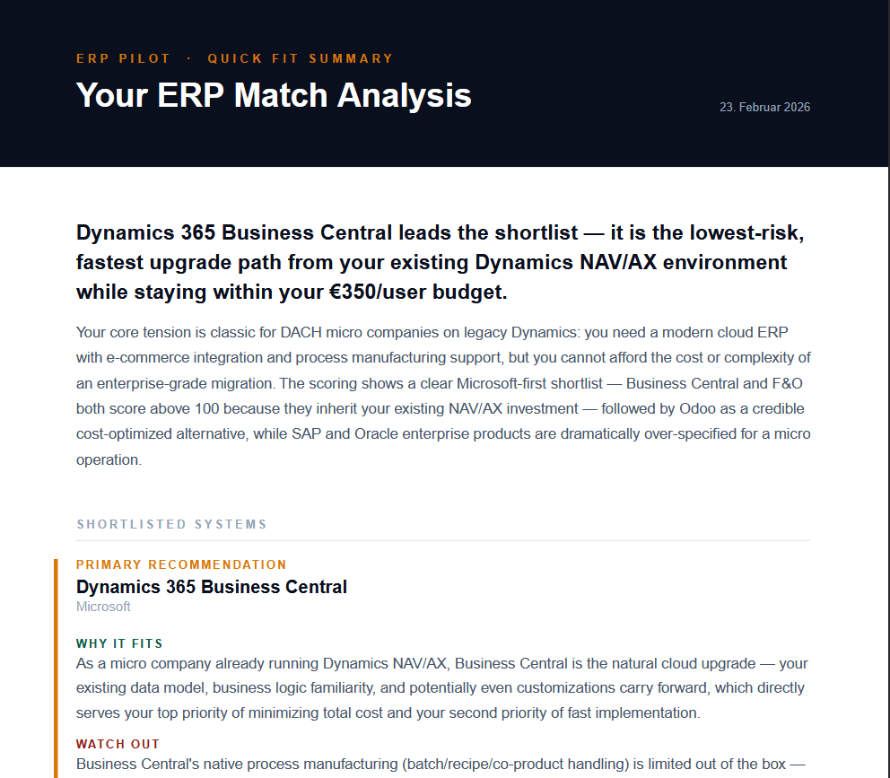 ERP Pilot screenshot 2