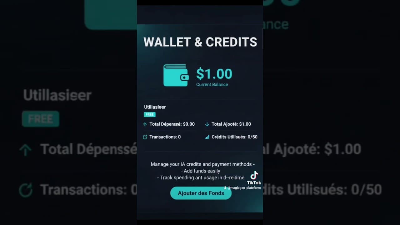 MagicGEO screenshot 1