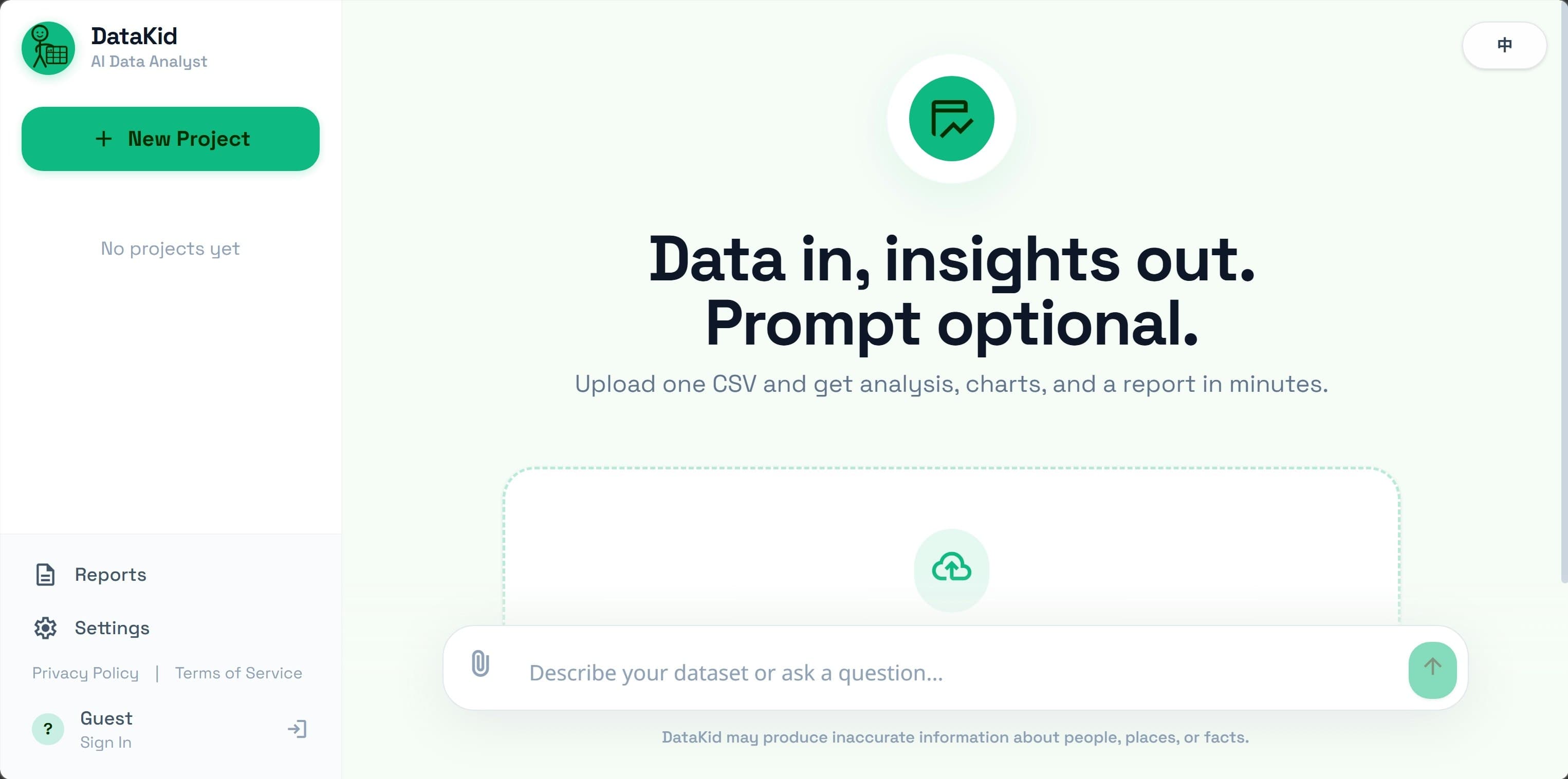 DataKid AI screenshot 2