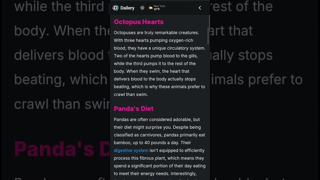 Dailery screenshot 1