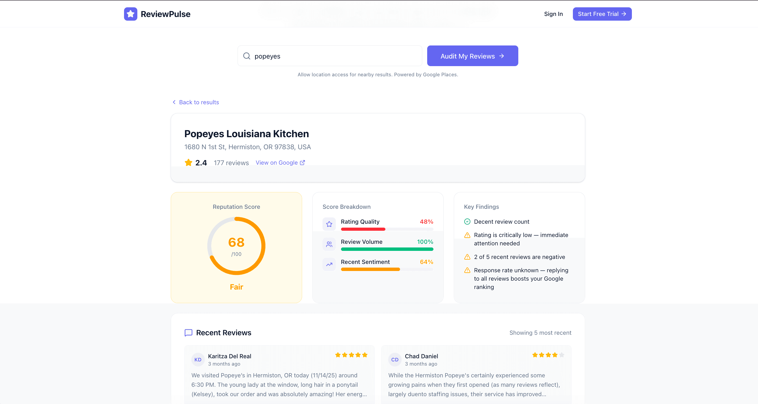 ReviewPulse screenshot 3