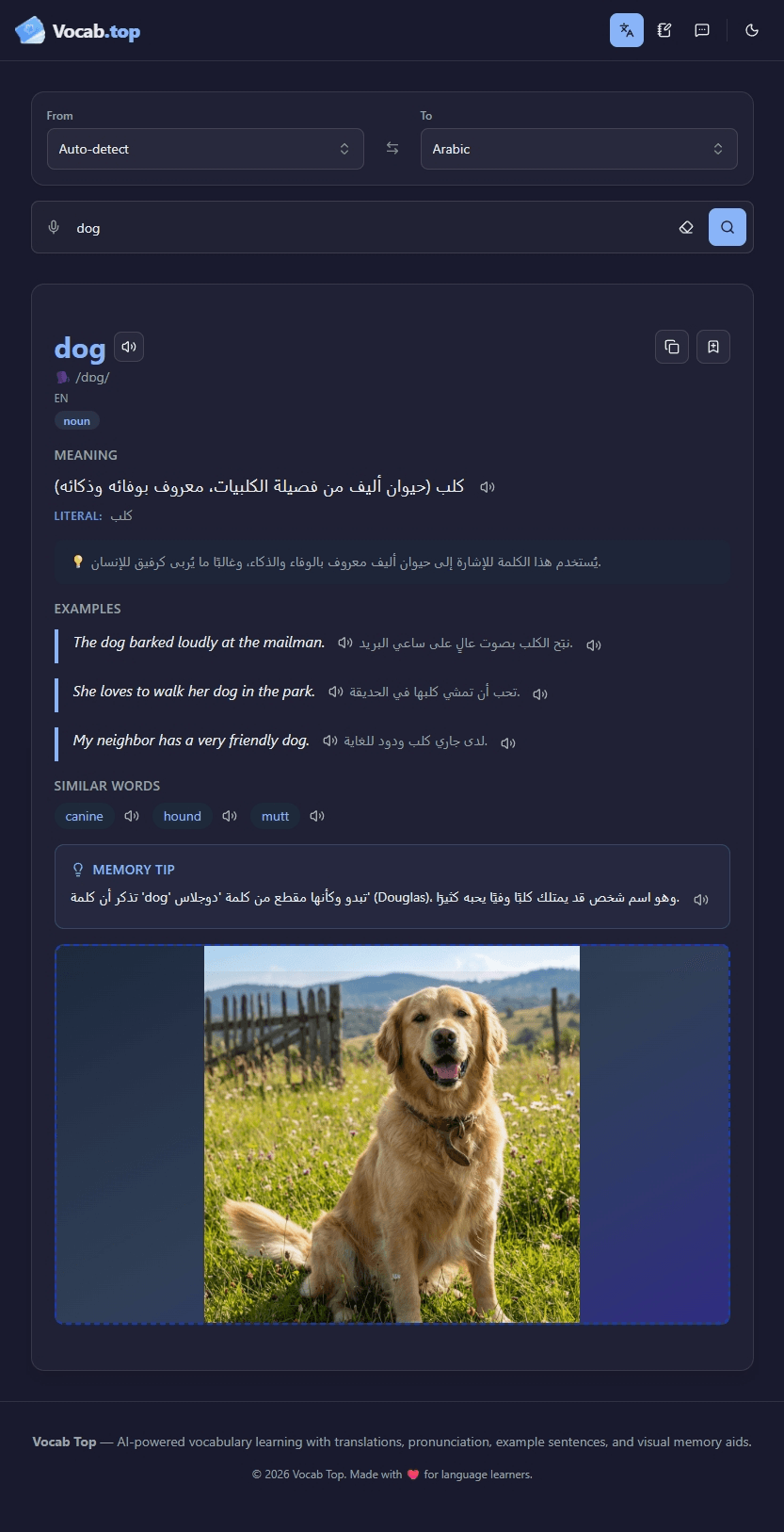 Vocab Top screenshot 6