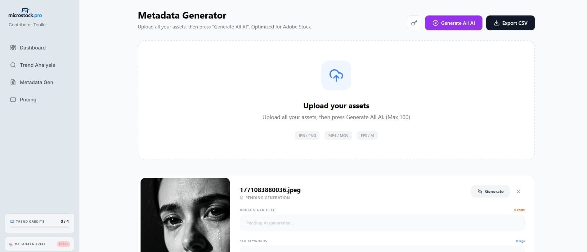 Microstock.pro screenshot 4
