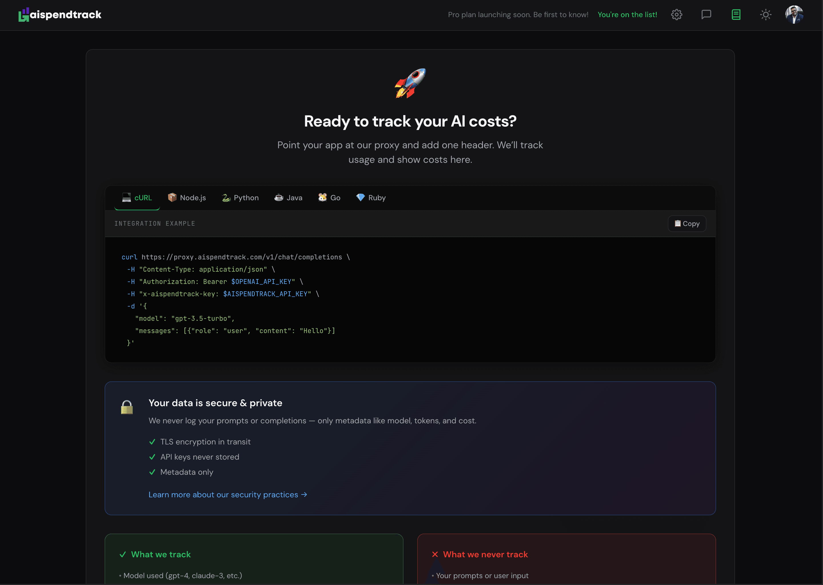 AiSpendTrack screenshot 2