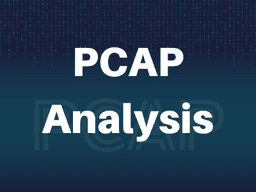 PCAP Analyser