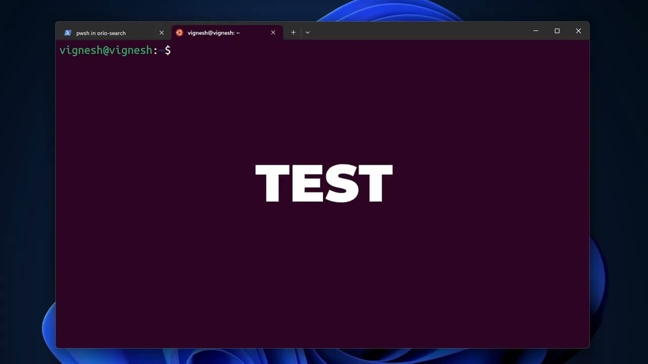 OrioSearch: Your AI Agent need WebSearch screenshot 1