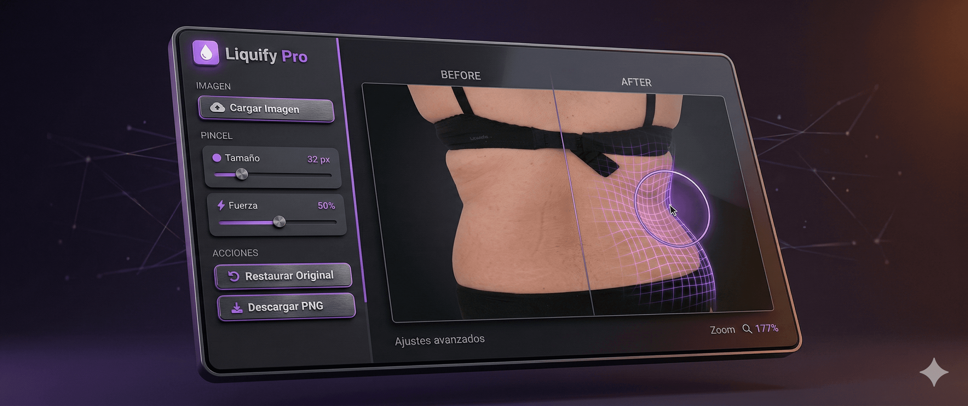 Liquify Web Pro screenshot 2