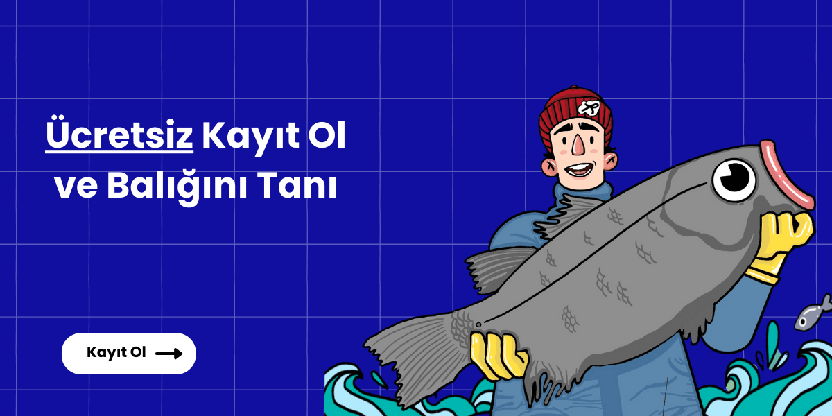 Rastgel screenshot 4