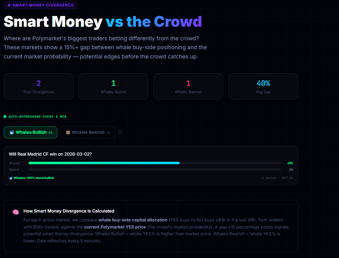 Polymarket Whale Tracker screenshot 6
