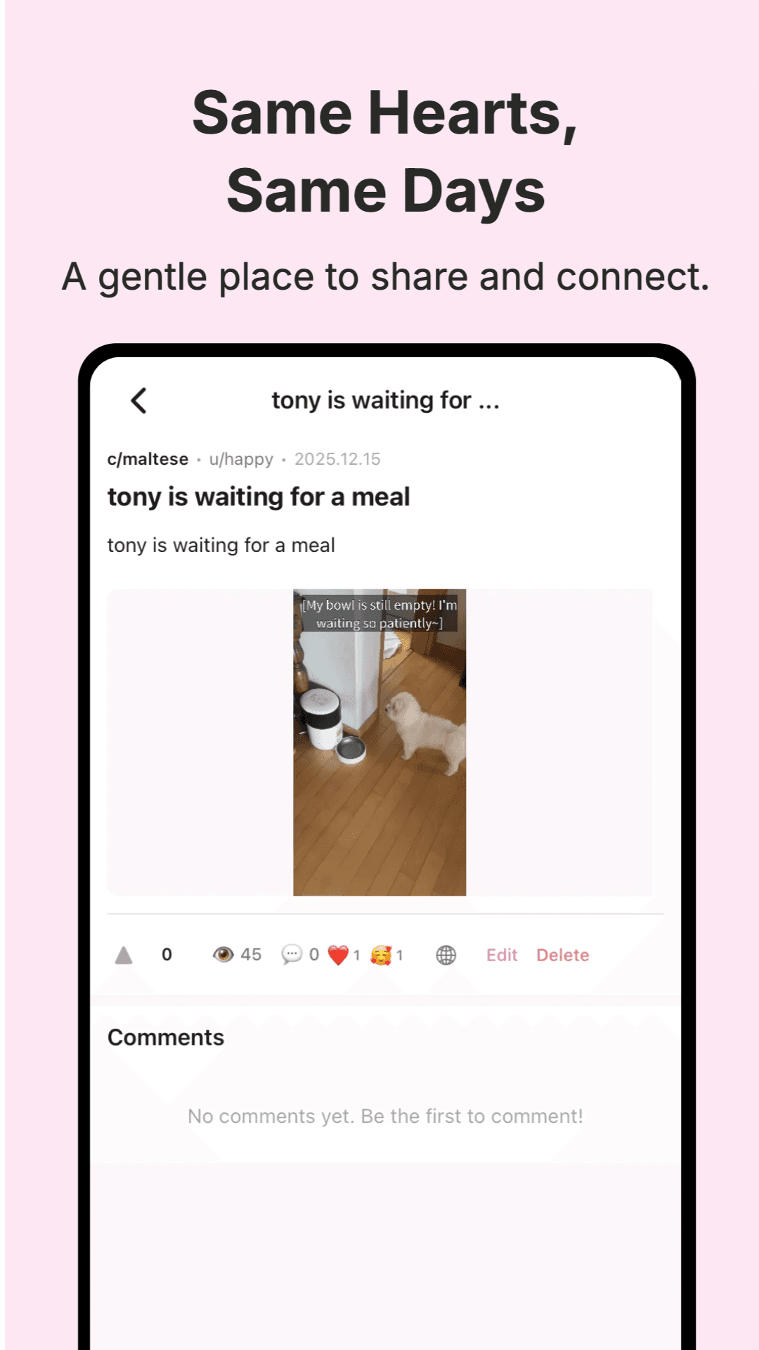Cherinity screenshot 6