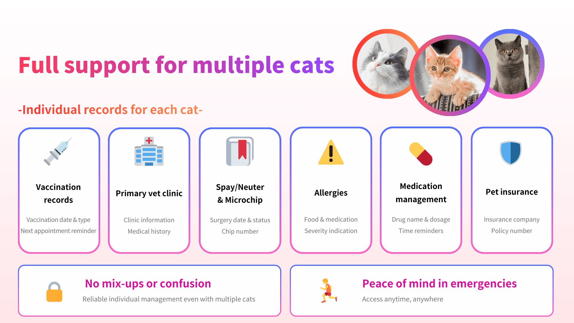 CatsMe 2.0 – AI Cat Health from a Photo screenshot 3
