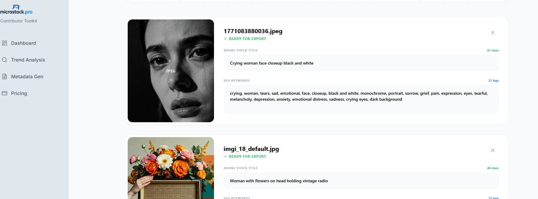 Microstock.pro screenshot 5
