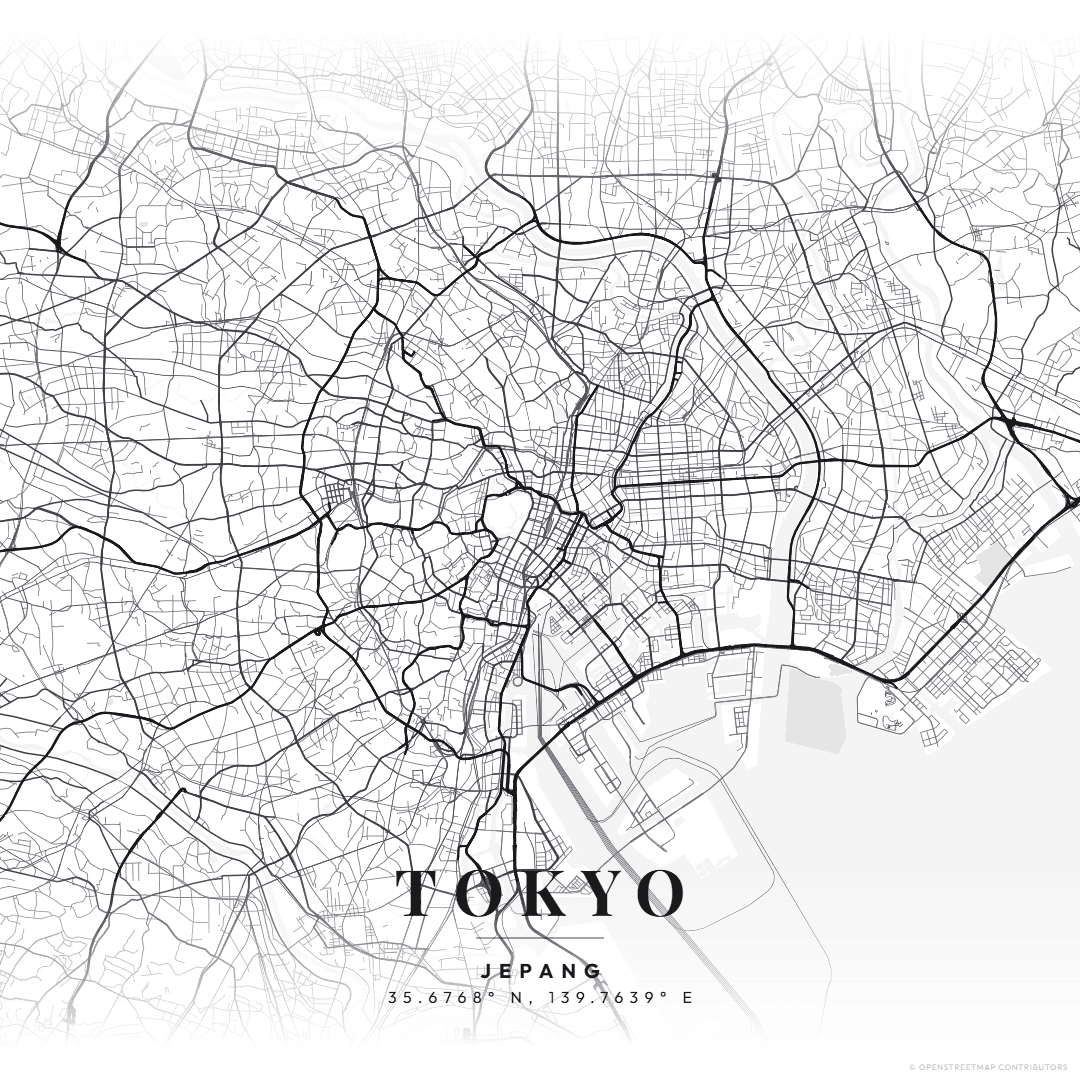 MapToPoster JS screenshot 4