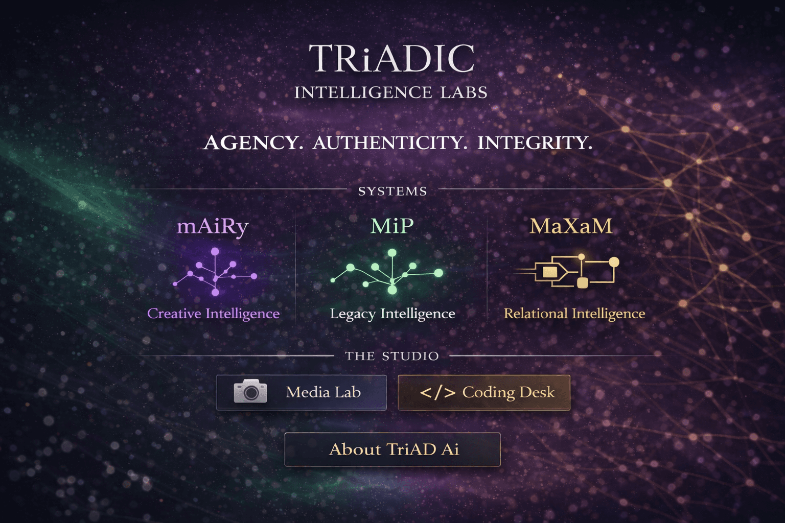 TRiADiC Intelligence Labs screenshot 2