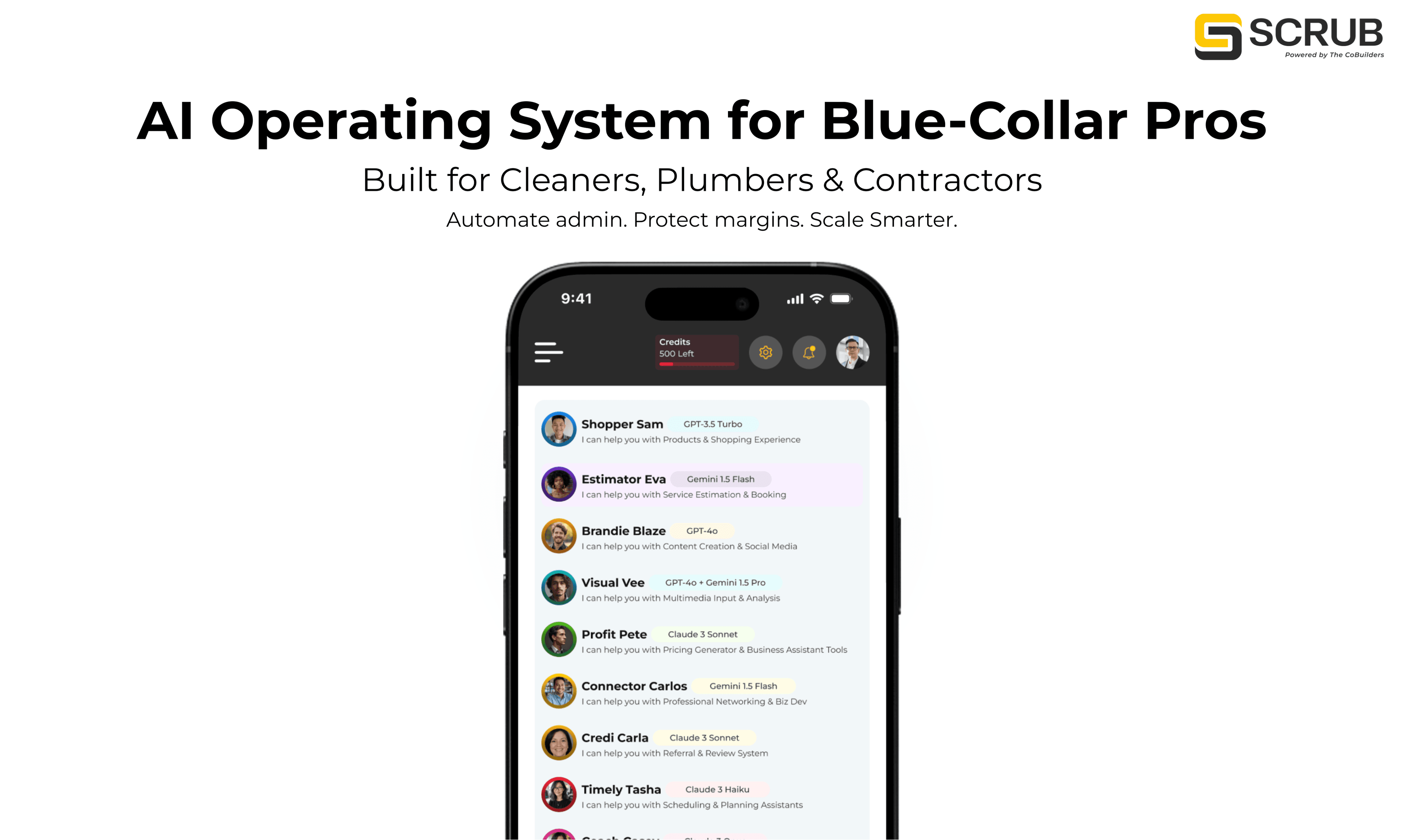 SCRUBgpt screenshot 2