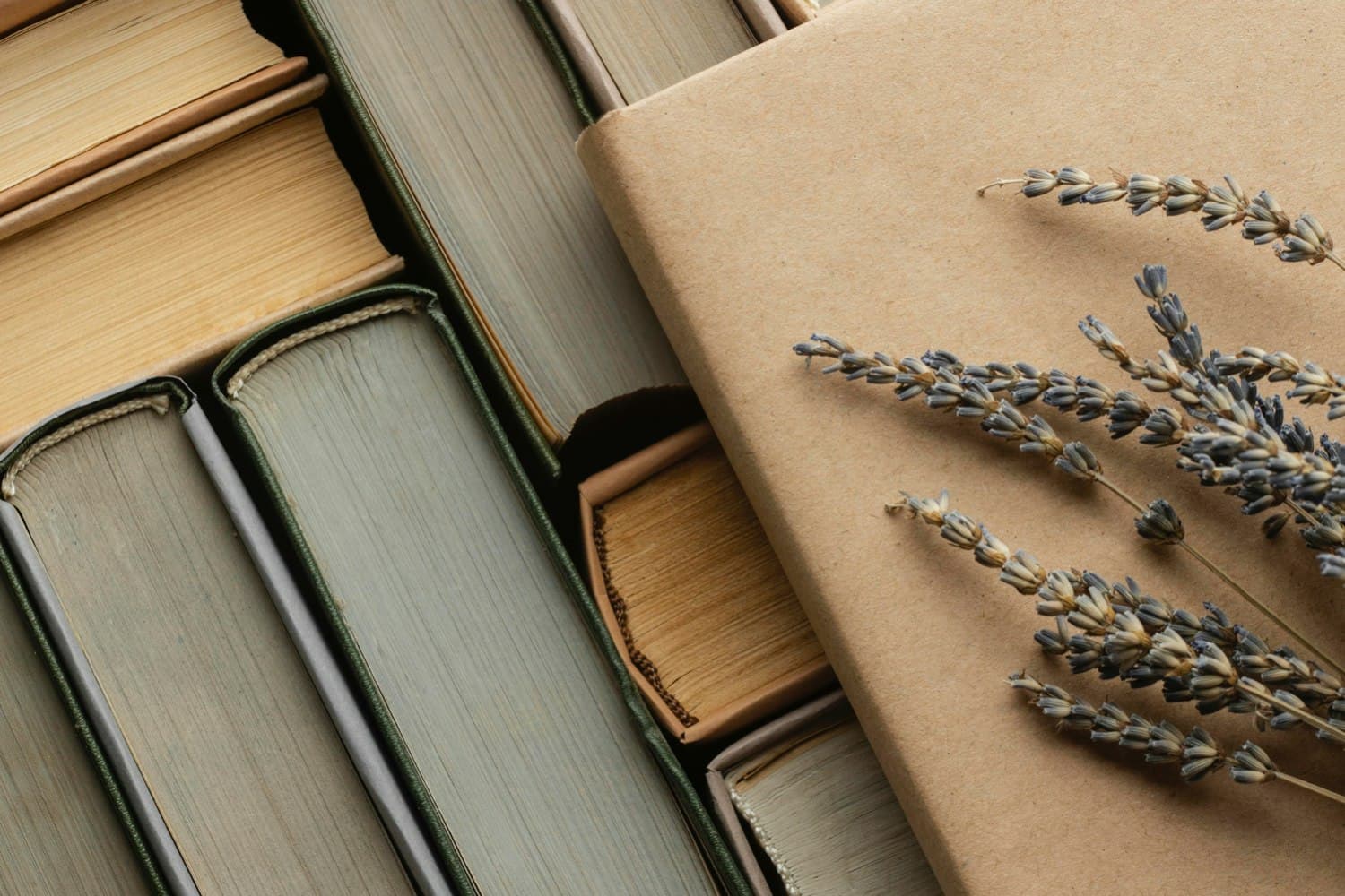 ReadIt Club — your reading community screenshot 4