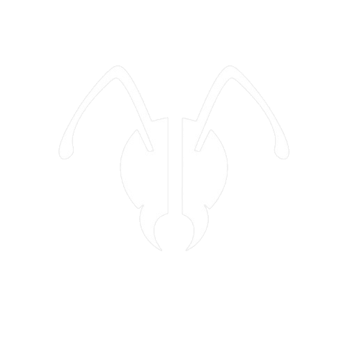 AnToAnt screenshot 1